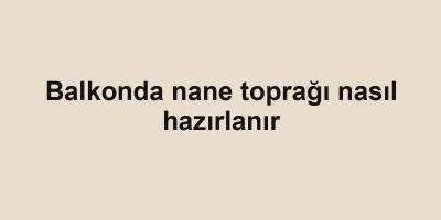 Balkonda nane toprağı nasıl hazırlanır