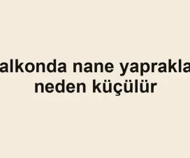 Balkonda nane yaprakları neden küçülür