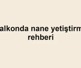 Balkonda nane yetiştirme rehberi