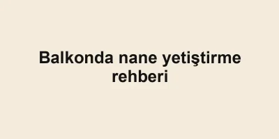 Balkonda nane yetiştirme rehberi