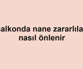 Balkonda nane zararlıları nasıl önlenir