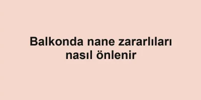 Balkonda nane zararlıları nasıl önlenir