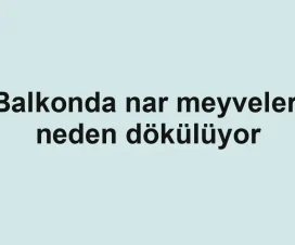 Balkonda nar meyveleri neden dökülüyor