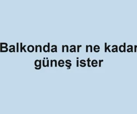Balkonda nar ne kadar güneş ister
