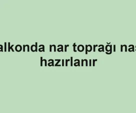 Balkonda nar toprağı nasıl hazırlanır