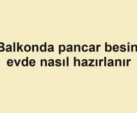 Balkonda pancar besini evde nasıl hazırlanır