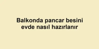 Balkonda pancar besini evde nasıl hazırlanır