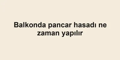 Balkonda pancar hasadı ne zaman yapılır