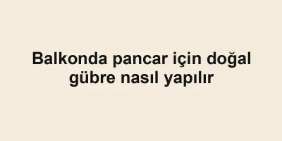 Balkonda pancar için doğal gübre nasıl yapılır