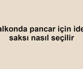 Balkonda pancar için ideal saksı nasıl seçilir