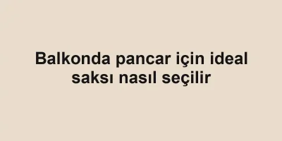 Balkonda pancar için ideal saksı nasıl seçilir