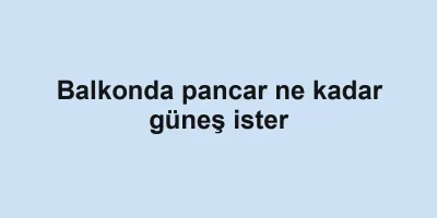 Balkonda pancar ne kadar güneş ister