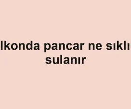 Balkonda pancar ne sıklıkla sulanır