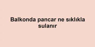 Balkonda pancar ne sıklıkla sulanır