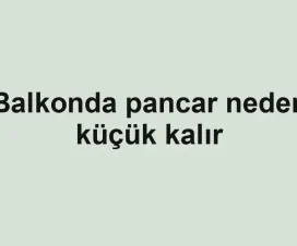 Balkonda pancar neden küçük kalır