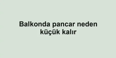 Balkonda pancar neden küçük kalır