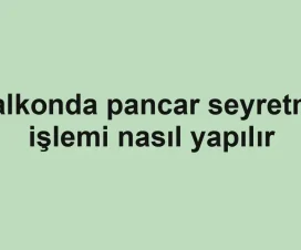 Balkonda pancar seyretme işlemi nasıl yapılır
