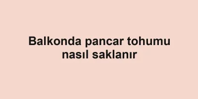 Balkonda pancar tohumu nasıl saklanır