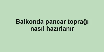Balkonda pancar toprağı nasıl hazırlanır