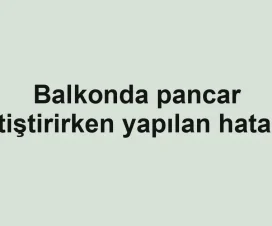 Balkonda pancar yetiştirirken yapılan hatalar