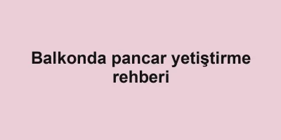 Balkonda pancar yetiştirme rehberi