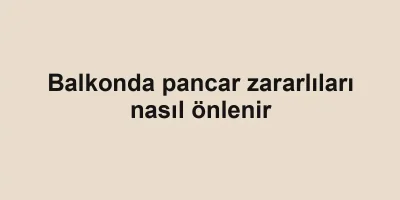Balkonda pancar zararlıları nasıl önlenir