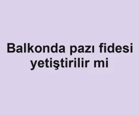 Balkonda pazı fidesi yetiştirilir mi