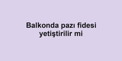 Balkonda pazı fidesi yetiştirilir mi