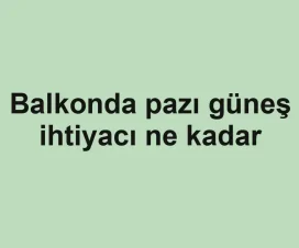 Balkonda pazı güneş ihtiyacı ne kadar