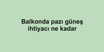 Balkonda pazı güneş ihtiyacı ne kadar