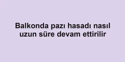 Balkonda pazı hasadı nasıl uzun süre devam ettirilir