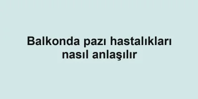 Balkonda pazı hastalıkları nasıl anlaşılır