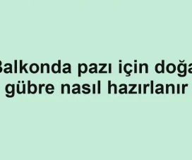 Balkonda pazı için doğal gübre nasıl hazırlanır