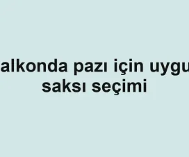 Balkonda pazı için uygun saksı seçimi