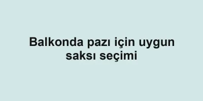 Balkonda pazı için uygun saksı seçimi