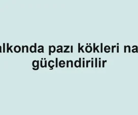 Balkonda pazı kökleri nasıl güçlendirilir