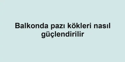 Balkonda pazı kökleri nasıl güçlendirilir
