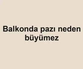 Balkonda pazı neden büyümez