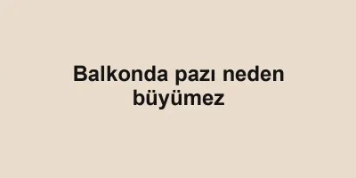 Balkonda pazı neden büyümez