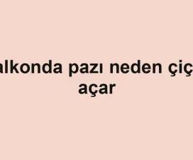 Balkonda pazı neden çiçek açar