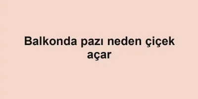 Balkonda pazı neden çiçek açar
