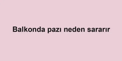 Balkonda pazı neden sararır