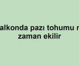 Balkonda pazı tohumu ne zaman ekilir