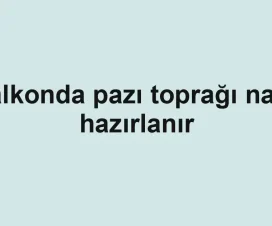Balkonda pazı toprağı nasıl hazırlanır