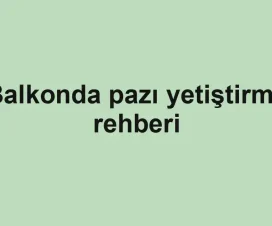 Balkonda pazı yetiştirme rehberi