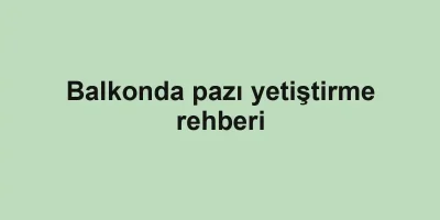 Balkonda pazı yetiştirme rehberi