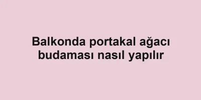 Balkonda portakal ağacı budaması nasıl yapılır
