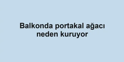Balkonda portakal ağacı neden kuruyor
