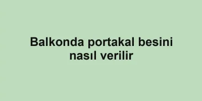 Balkonda portakal besini nasıl verilir