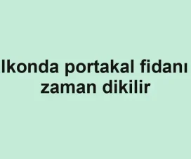 Balkonda portakal fidanı ne zaman dikilir